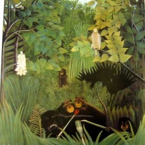 Henri Rousseau:  Bird drawing