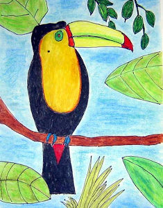 Henri Rousseau Toucan Drawing Project