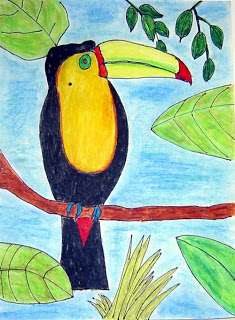 Toucan Drawing