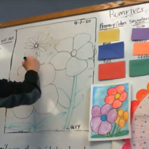 Spring Flower Color Project