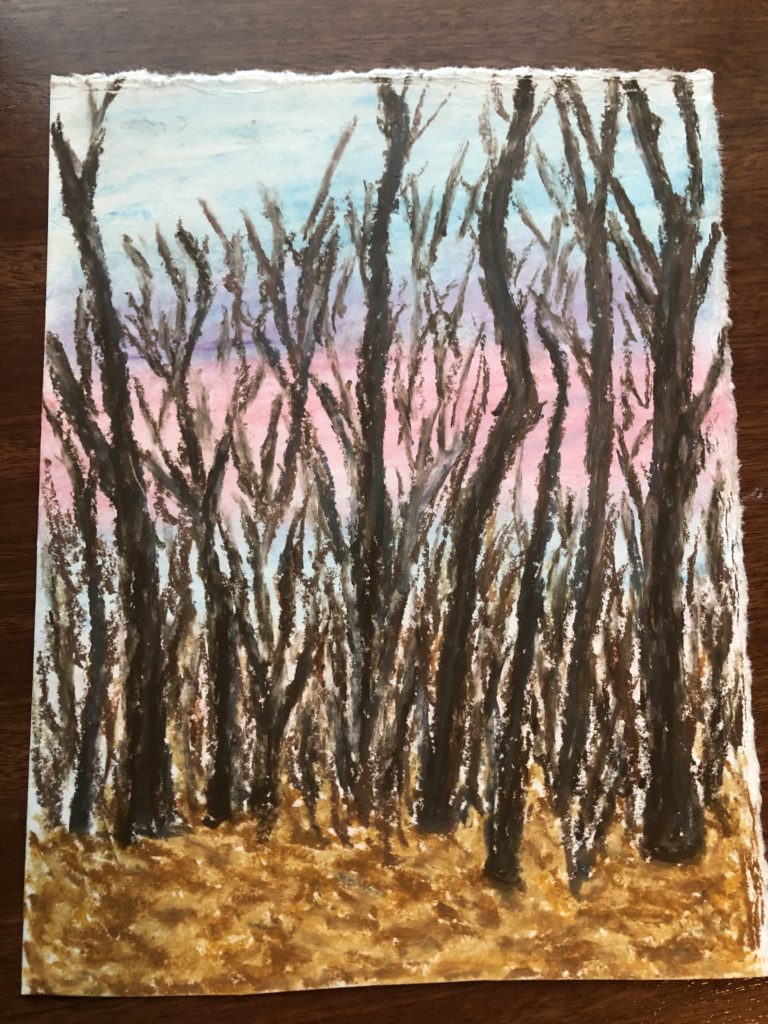 Trees in the forest with no leaves