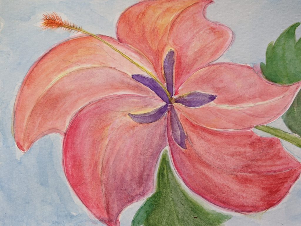Watercolor painting of a pink flower