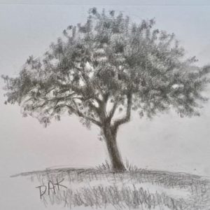 Drawing a Tree Project by Deborah Ann Kirkeeide