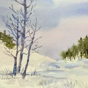 Winter Landscape Project