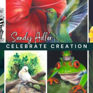 Witness the Wonder of Nature: Enjoy Sandy Adler’s ‘Celebrate Creation’ Gallery Display