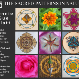 Explore the Patterns of Nature Woven Into Captivating Artwork by Bonnie Sue Klatt